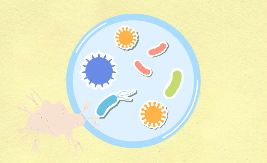 Stem Cell salah satu inovasi terbesar dalam dunia medis&nbsp;modern