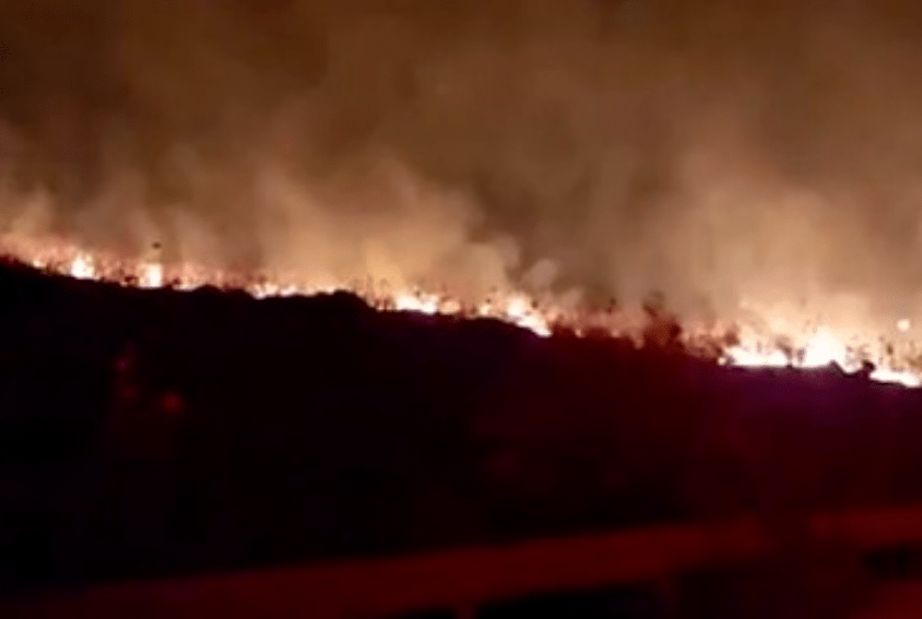 Kebakaran Hutan Dekat Yerusalem, Israel Tetapkan Status Darurat&nbsp;Nasional