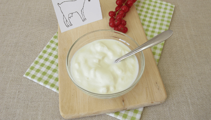 5 Manfaat Susu Kambing Bagi&nbsp;Kesehatan