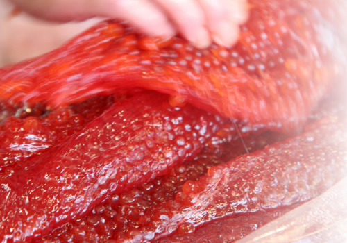 Manfaat Salmon Ovary Peptide SOP Subarashi AFC Jepang untuk&nbsp;Kesehatan